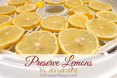 Dried Lemon moisture meter|diy dried lemons.